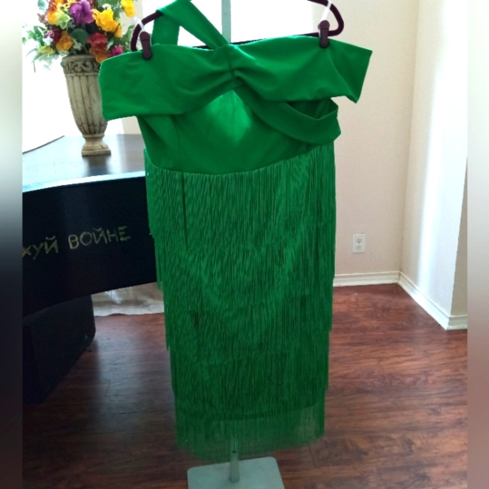 Special Occasion Fringe Dress